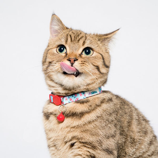 Comfortable Neck Adjustable Cat Collar with Bell