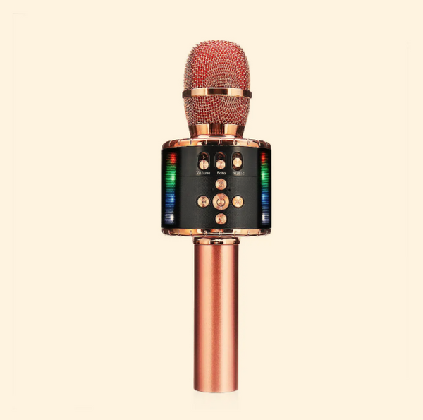 Karaoke Microphone Bluetooth Wireless Handheld Cordless Adult & Kids